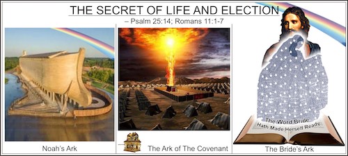 THE SECRET OF LIFE AND ELECTION